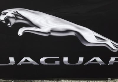 Jaguar- Pericaud Trophy